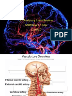 Head and Neck Vasculature Review for 3rd Year Medical Students