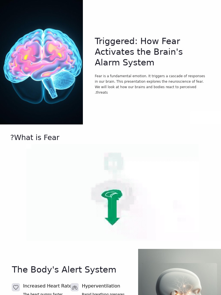 Neuroscience of Fear Responses | PDF
