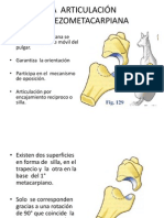 La Articulación Trapezometacarpiana