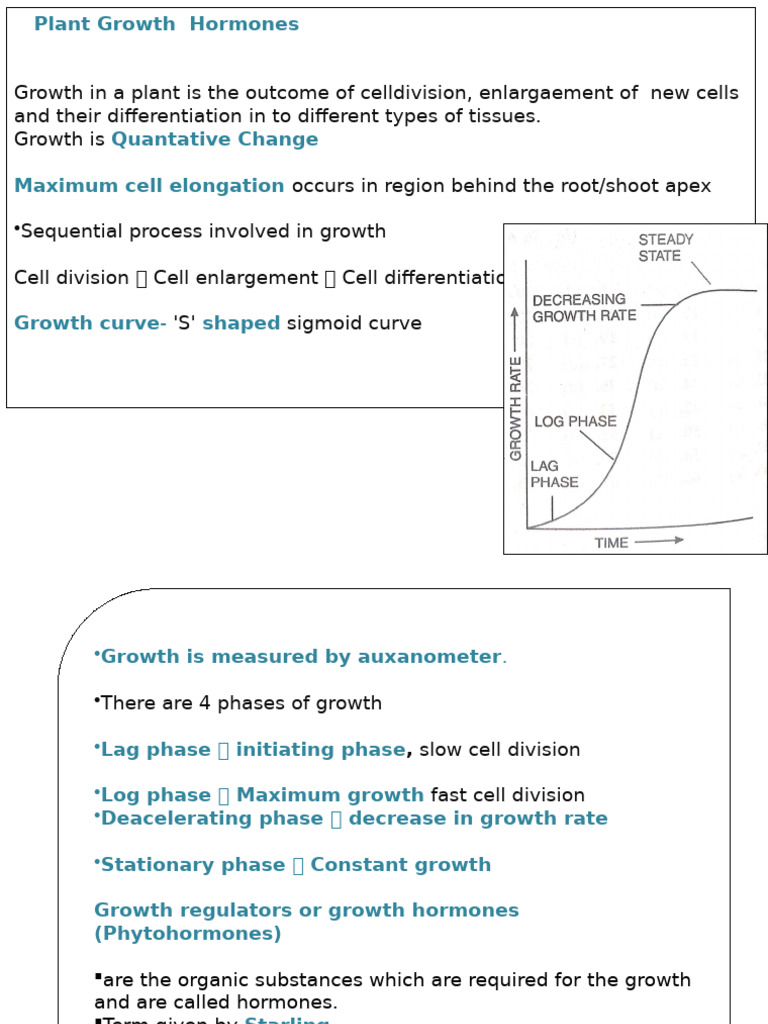 Plant Growth Hormones Explained | PDF | Immune System | Plant Hormone