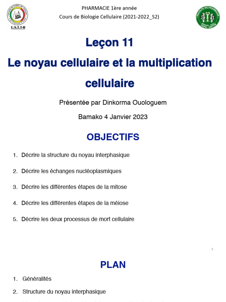 Biologie Cellulaire : Noyau et Division Cellulaire | PDF | Mitose ...