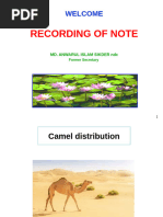 Office Note Format and Guidelines | PDF