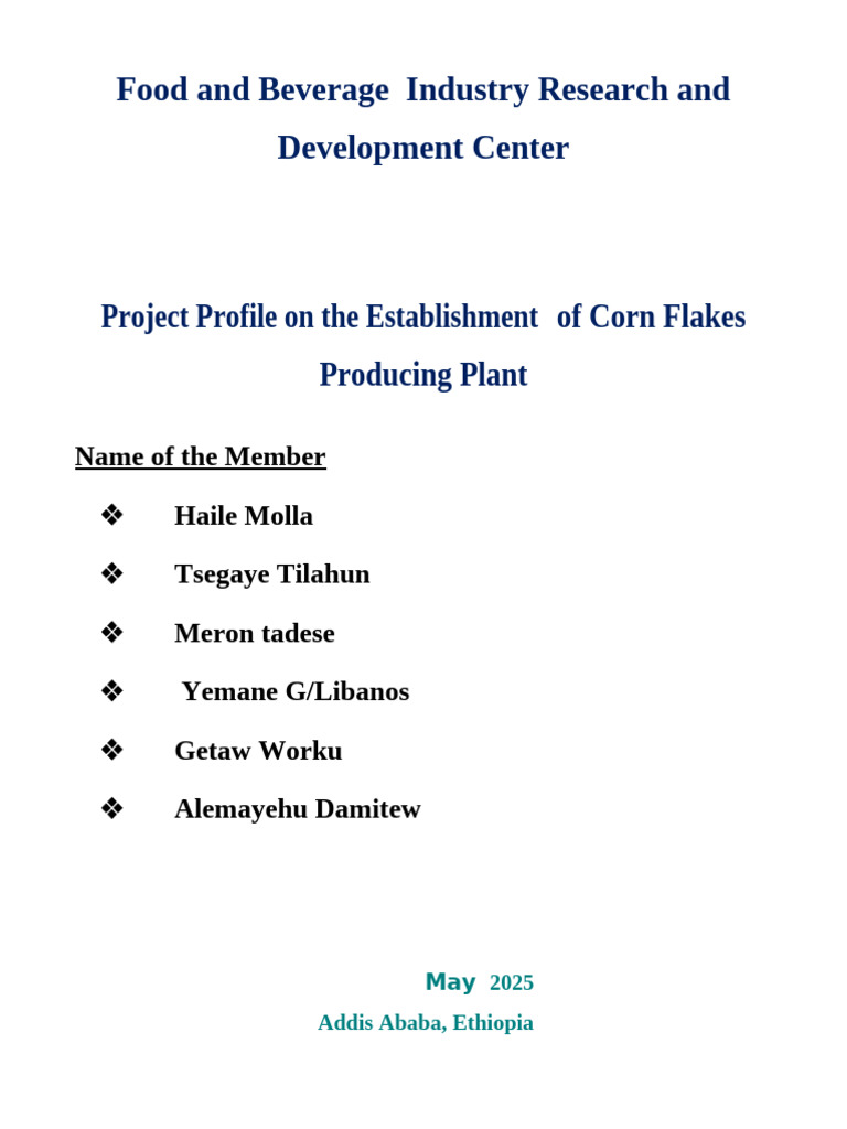 Corn Flakes Production Feasibility Study | PDF | Internal Rate Of ...
