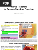 Line Bisection and Star Cancellation Test | PDF