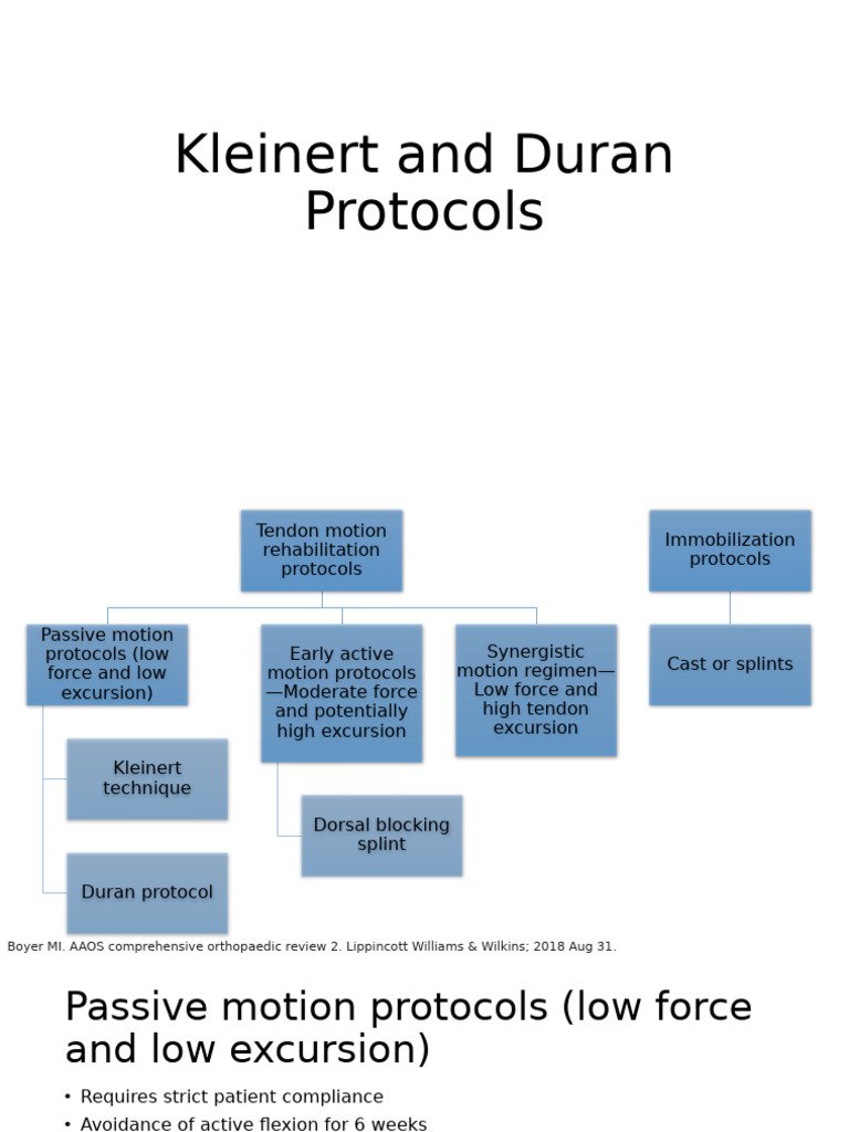 Kleinert vs Duran Tendon Protocols | PDF | Anatomical Terms Of Motion ...