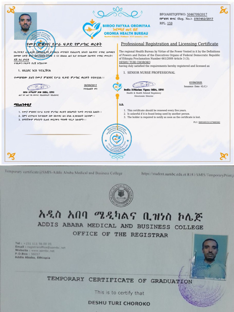 MY Degree File - Compressed | PDF