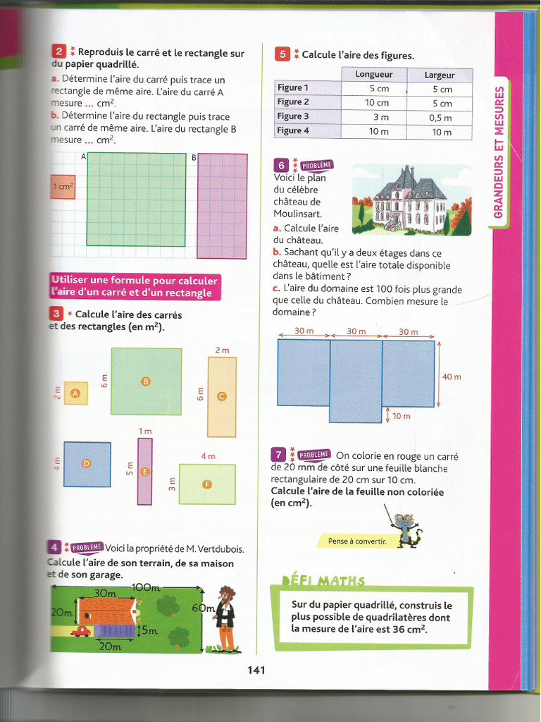CM1 Exercices Calculer L'aire D'un Carré Et Rectangle p2 | PDF