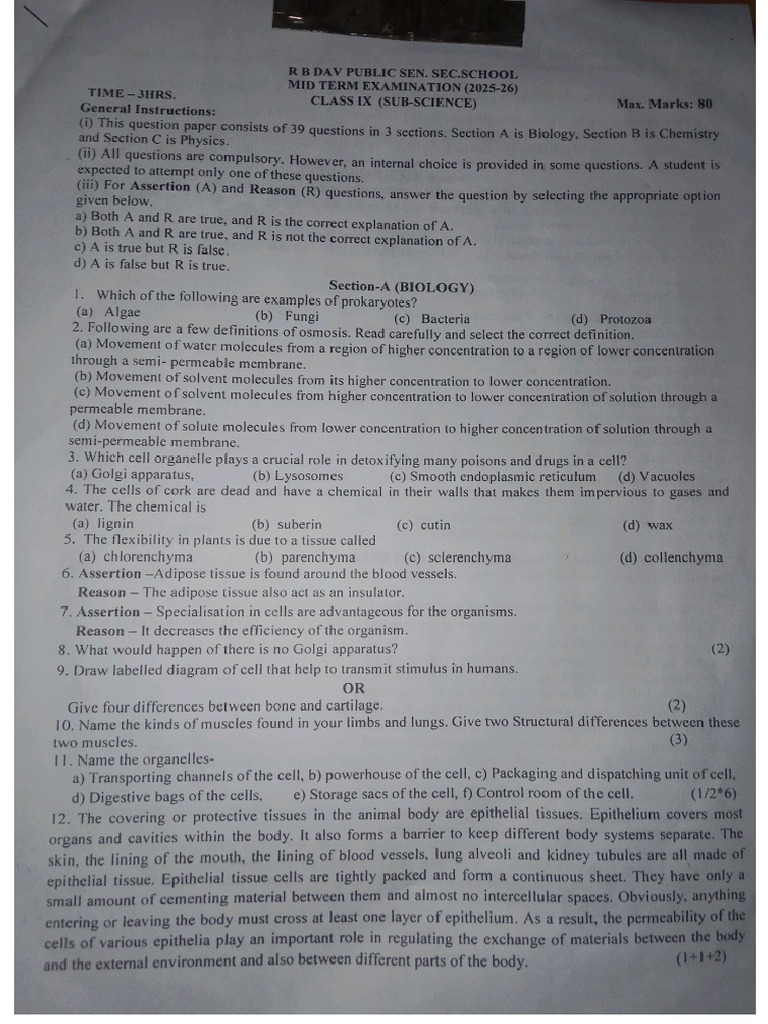 Dav Science Mid Term Exam Question Paper | PDF