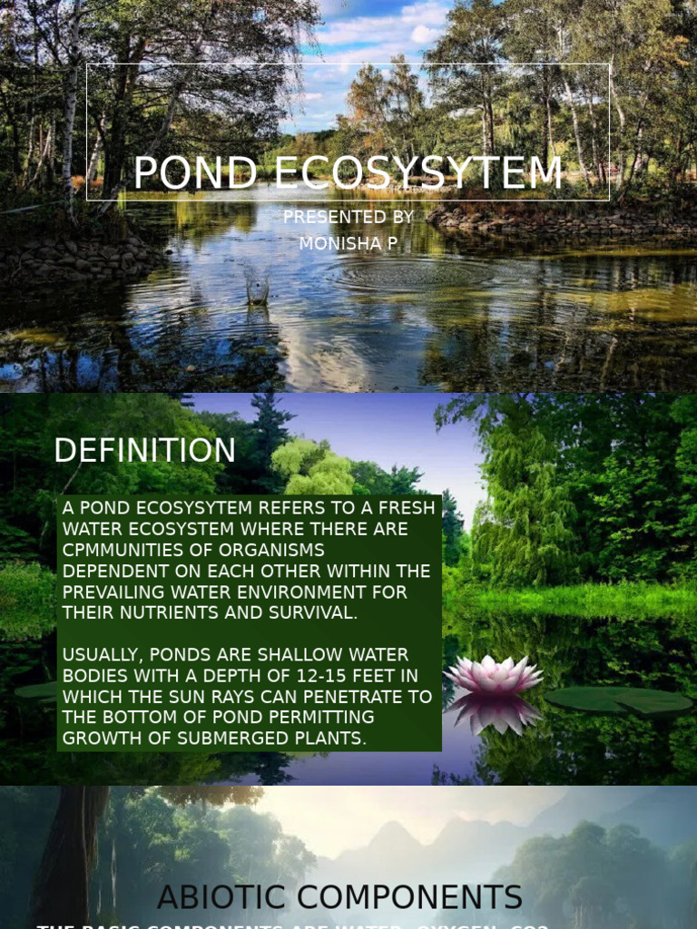 Pond Ecosysytem | PDF