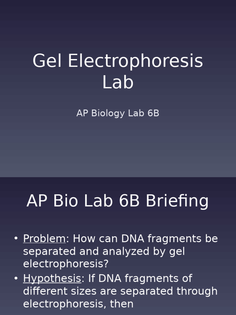 DNA Analysis via Gel Electrophoresis | PDF | Gel Electrophoresis | Genetics
