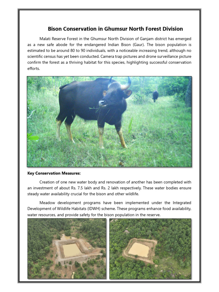 Bison Conservation | PDF