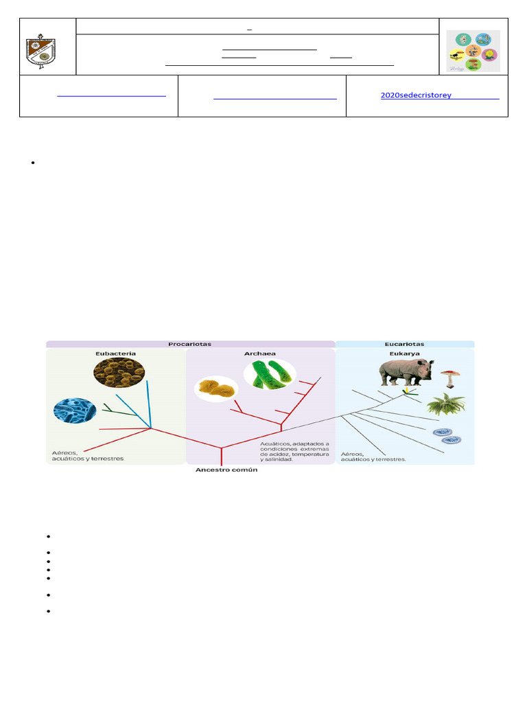 Guia para 6 - 4 | PDF | Las bacterias | Archaea