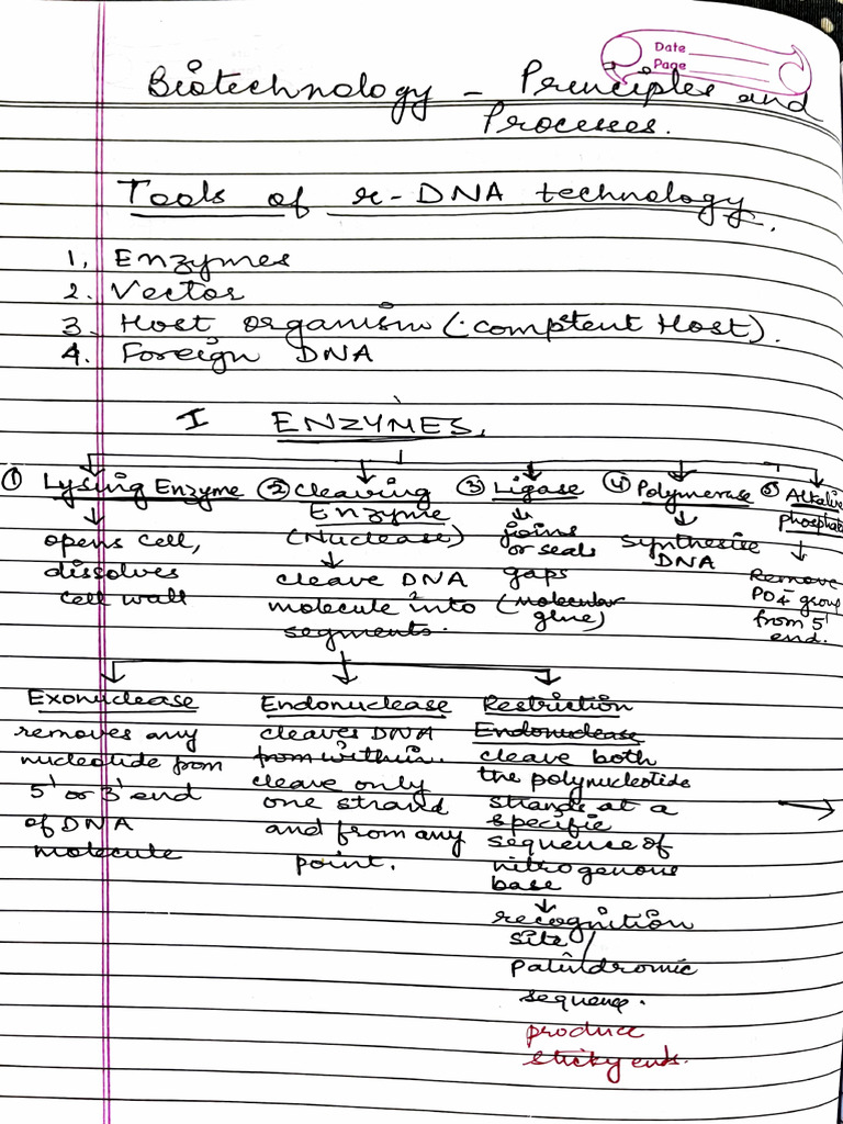 DNA Techniques and Vector Analysis | PDF | Molecular Genetics ...
