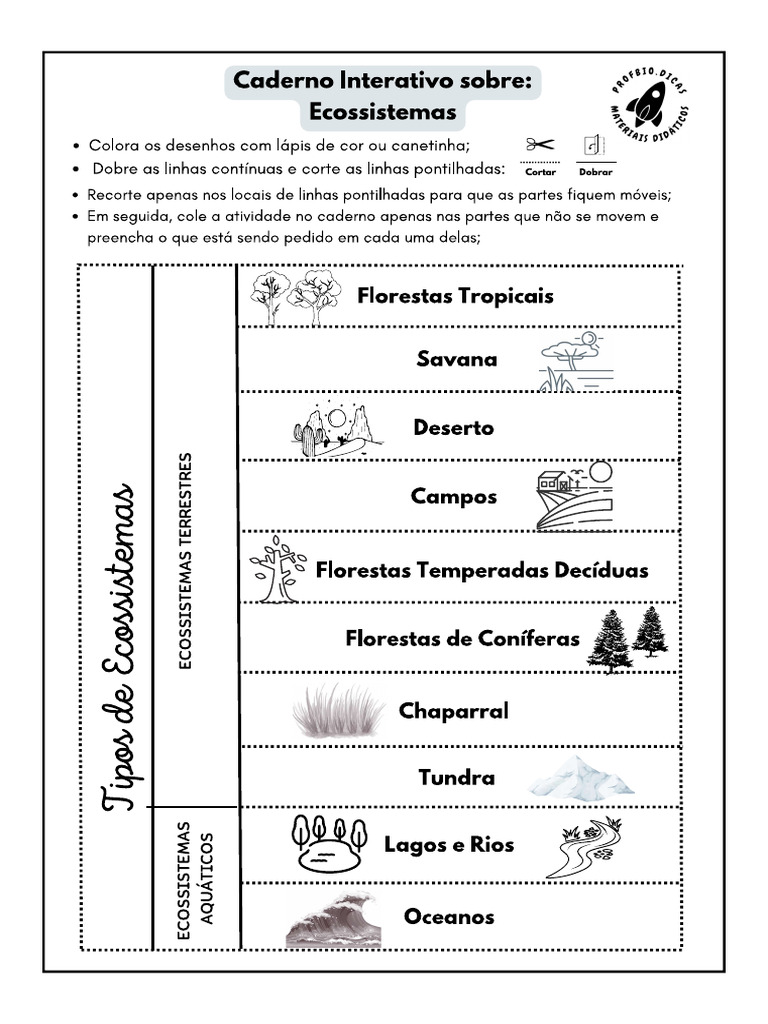 Atividade Ecossistemas 7 Ano | PDF