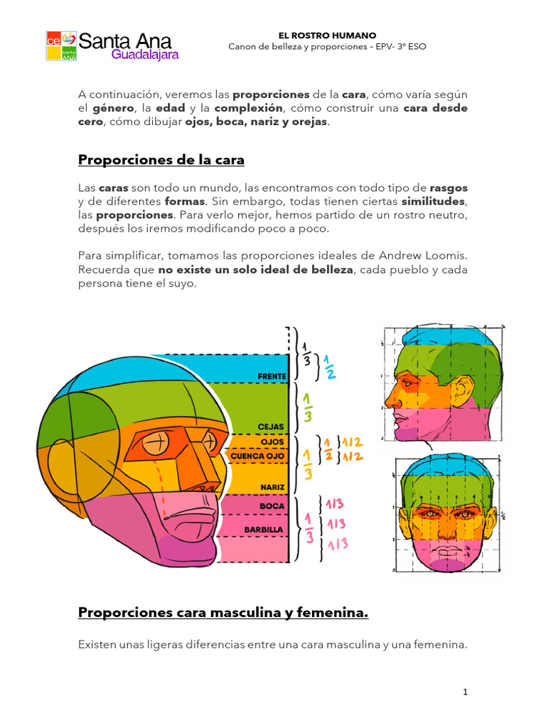 Proporciones del Rostro Humano en Dibujo | PDF | Cara | Ojo