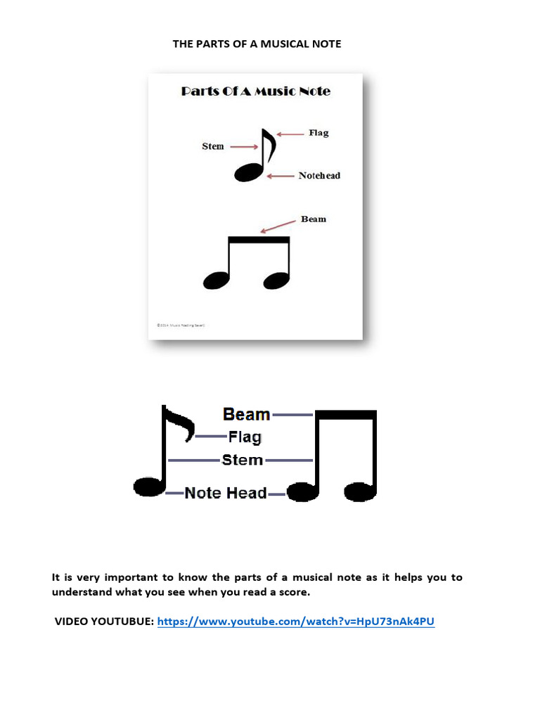 Understanding Musical Note Components | PDF | Sound | Interval (Music)