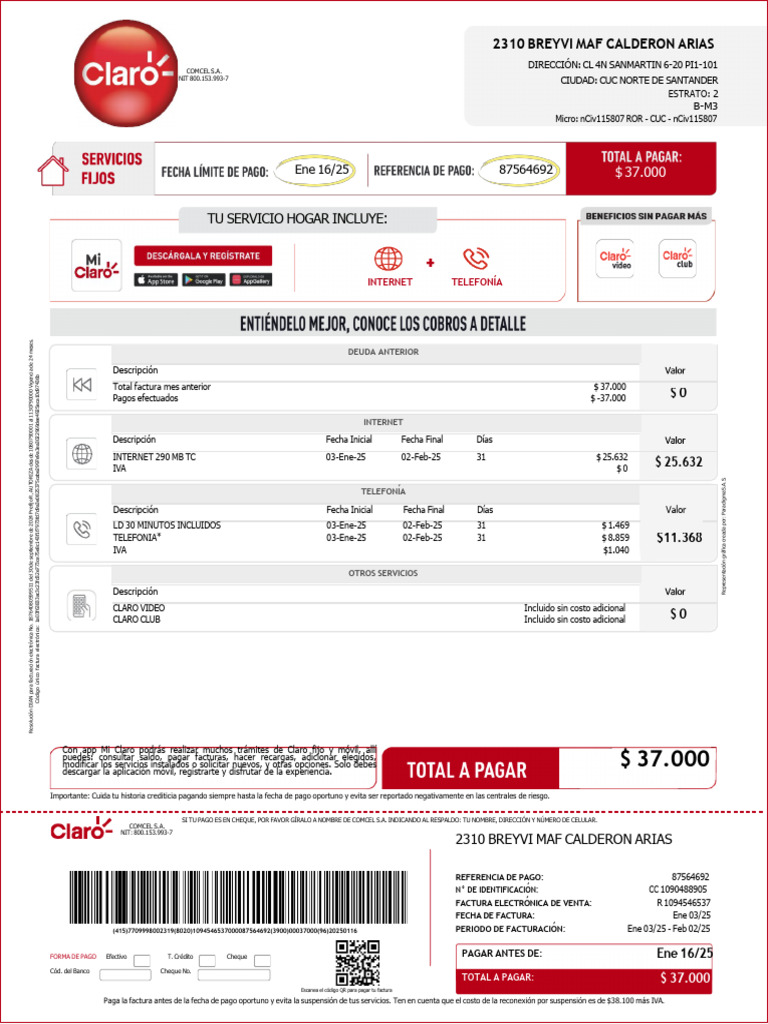 Factura Claro: Servicios y Pagos Enero 2025 | PDF | Factura | Internet