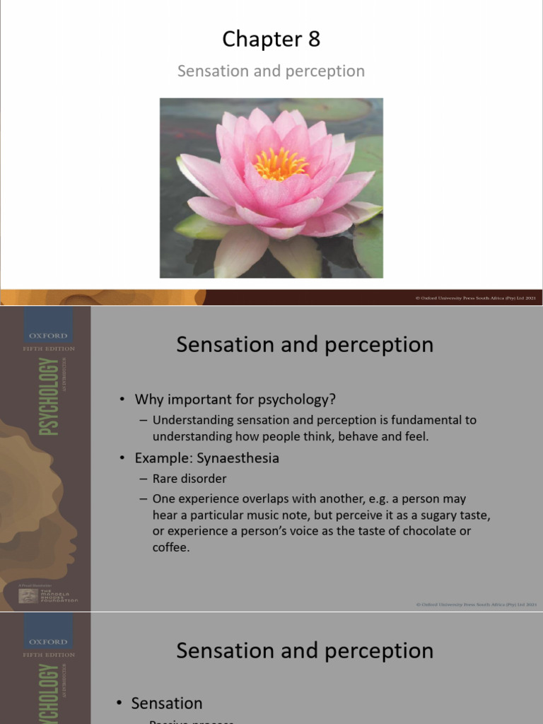 Chapter 8 Sensation and perception_Lecture 1_2025_Upload | PDF | Senses ...