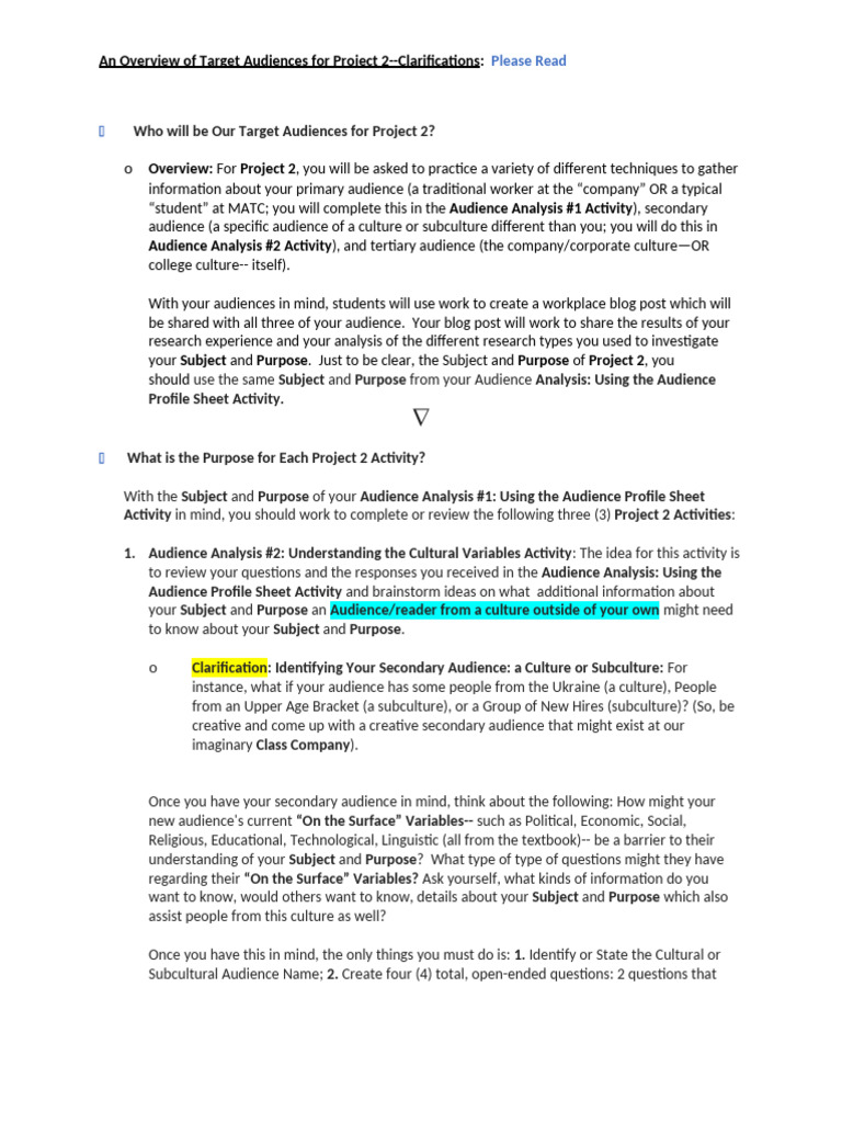 Target Audience Analysis for Project 2 | PDF | Communication | Human ...
