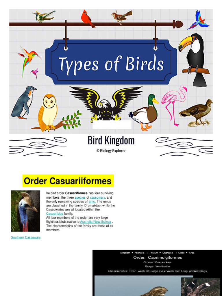 Bird Orders and Their Unique Traits | PDF | Ornithology | Birds
