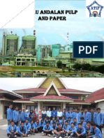 Riau Andalan Pulp & Paper