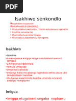 Intetho Elungiselelweyo: Umzekelo WeSoNA | PDF