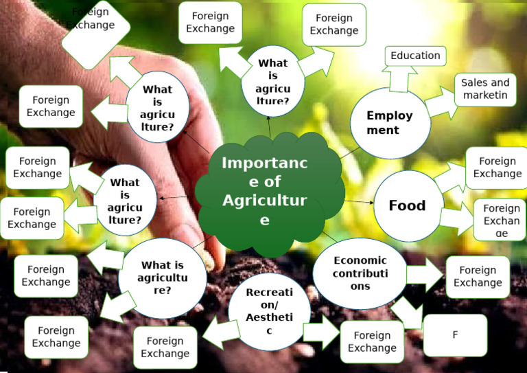 Importance of Agriculture Explained | PDF