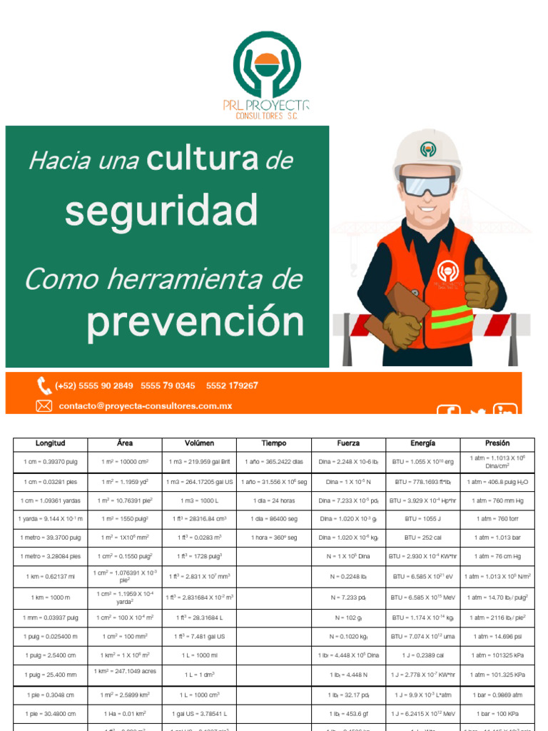 Cultura de Seguridad en el Trabajo | PDF | Escalera | Andamio
