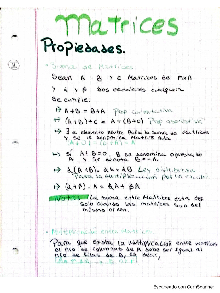 Propiedades de Las Matrices | PDF