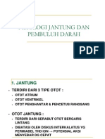 Fisiologi Jantung Dan Pembuluh Darah (Compatibility Mode)