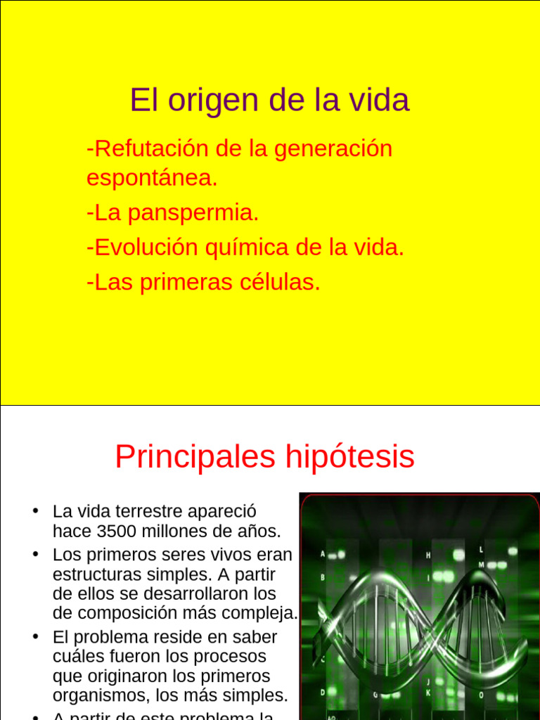 Origen y evolución de la vida terrestre | PDF | Homo | Evolución