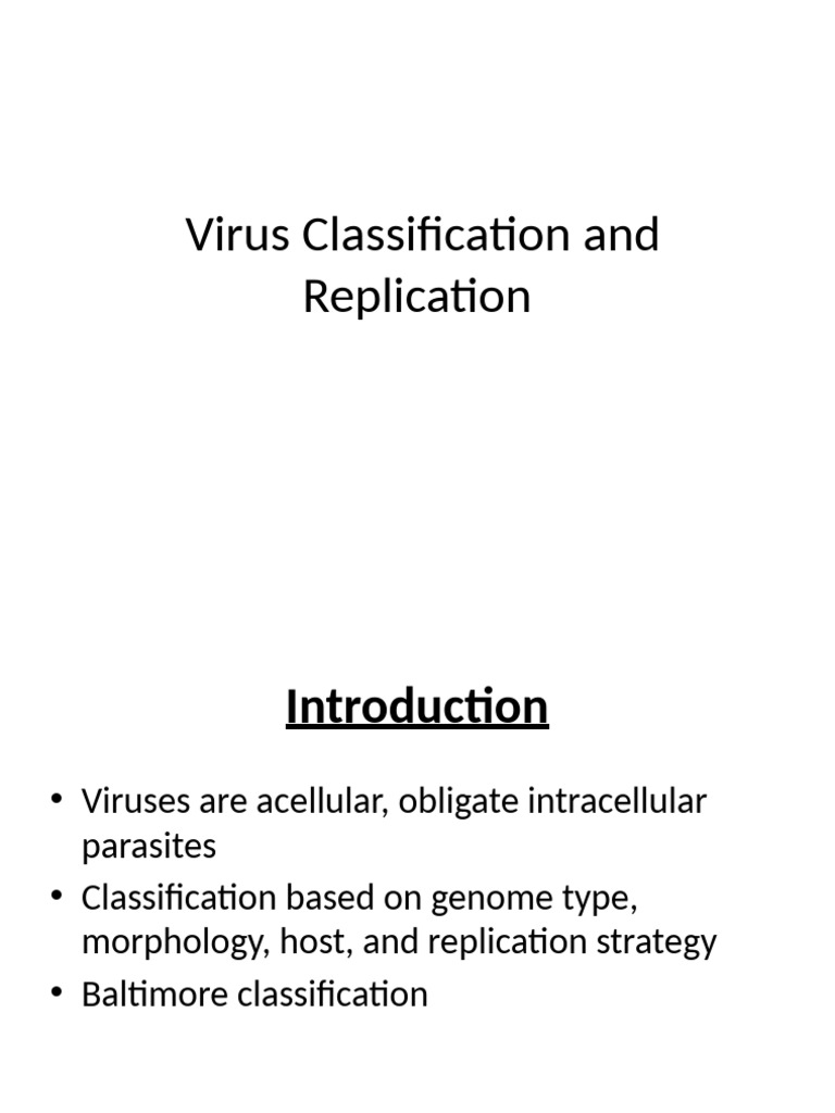 Baltimore Virus Classification Overview | PDF | Virus | Reverse ...