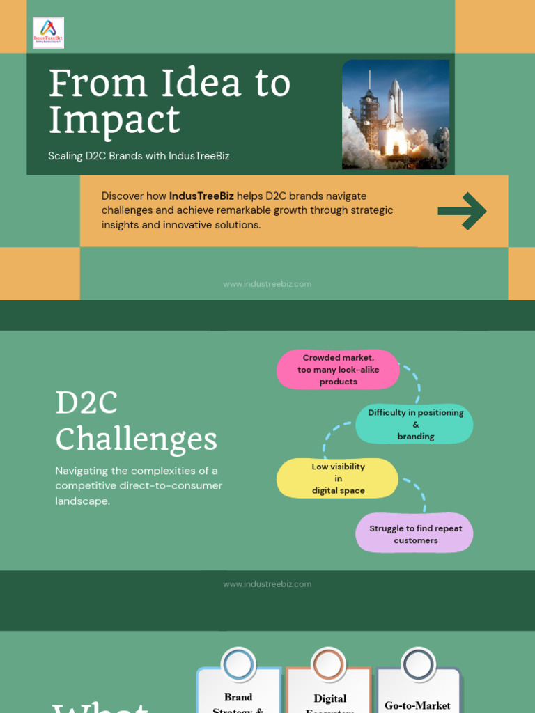 From Idea To Impact: Scaling D2C Brands With Industreebiz | PDF | Brand ...