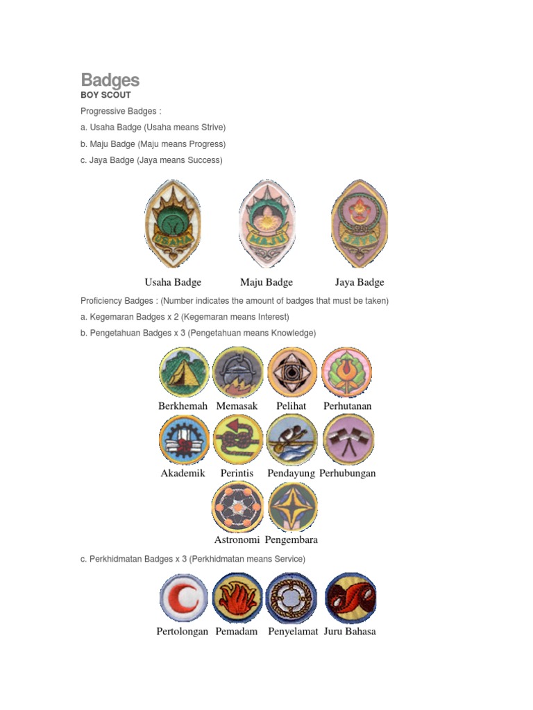 Scout Badges and Their Meanings | PDF