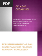 Gelagat Organisasi