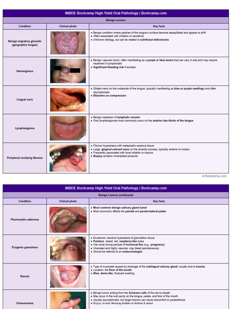 High-Yield Oral Pathology Guide | PDF | Human Tooth | Dental Anatomy