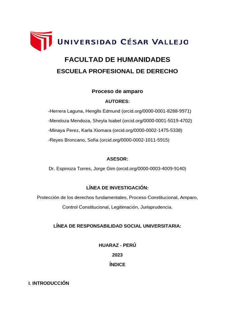 Proceso de Amparo en Perú: Guía Completa | PDF | Habeas corpus | Ley ...
