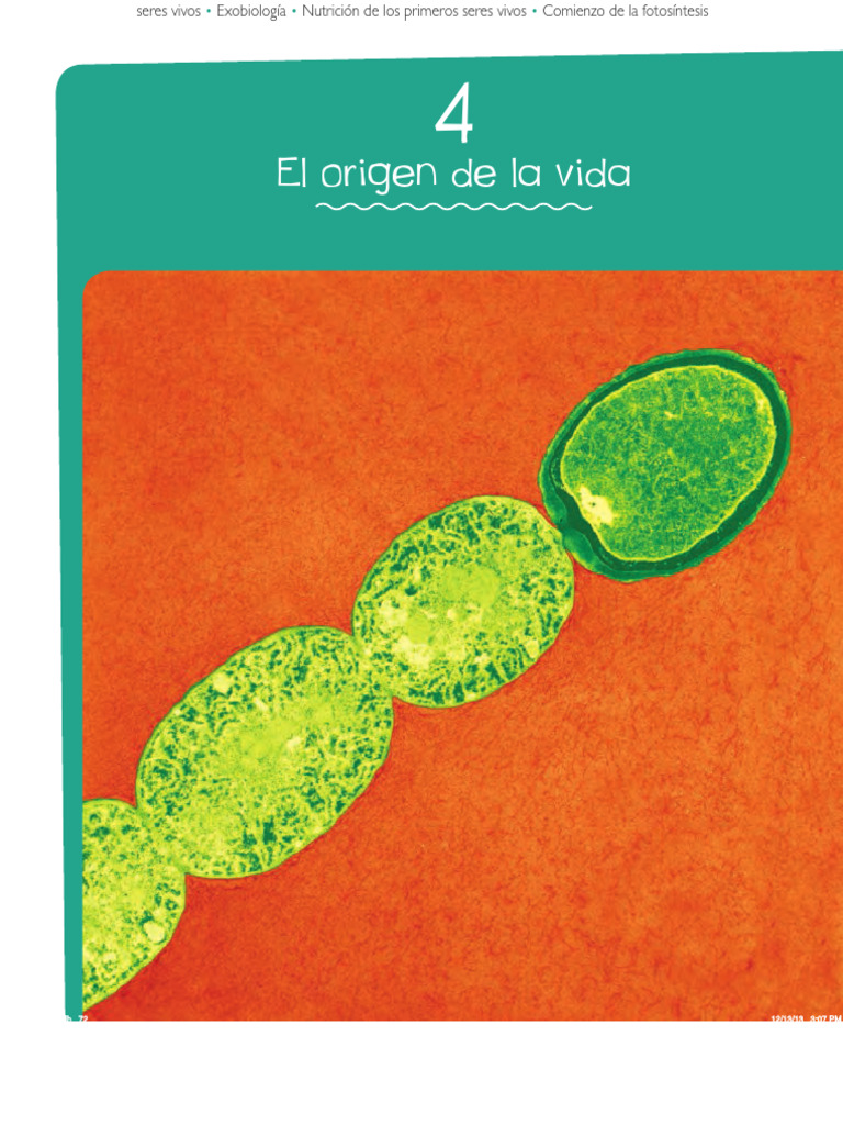 Origen de la vida y generación espontánea | PDF | Abiogénesis | Agua