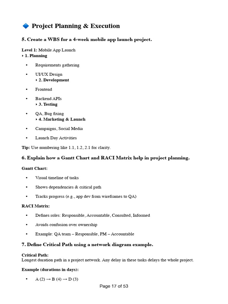 Mobile App Launch Project Planning Guide | PDF