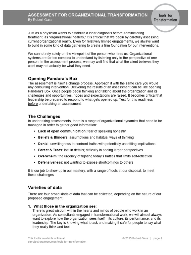 Organizational Transformation Assessment Guide | PDF | Focus Group ...