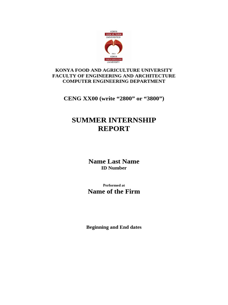 Summer Internship Report Template | PDF | Computer Programming | Software
