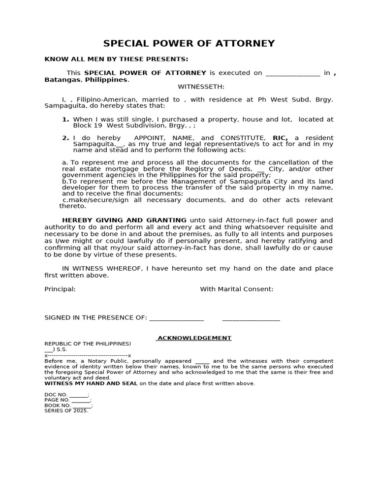 Special Power of Attorney Template | PDF