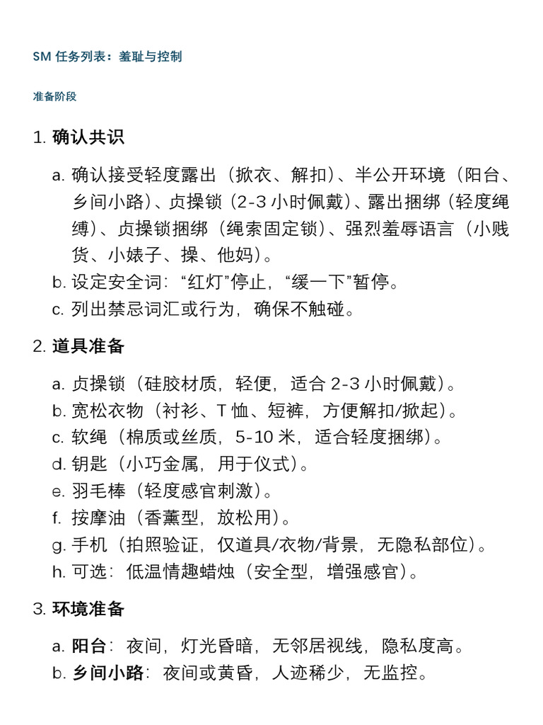 SM任务列表：羞耻与控制 | PDF