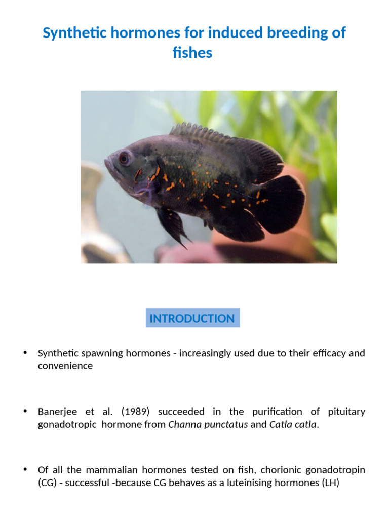 Types Of Fish Breeding Pdf