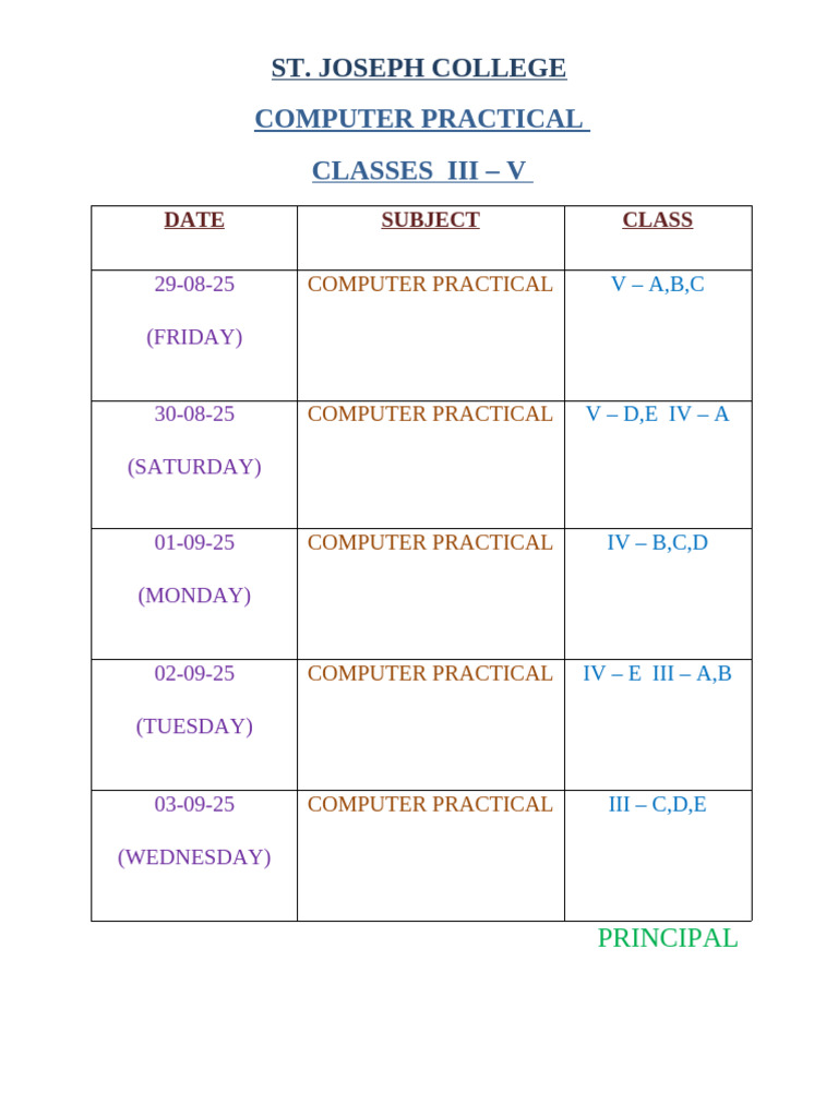 Computer Practical | PDF