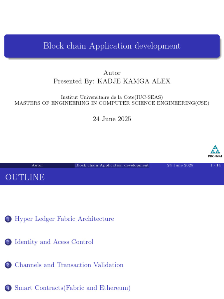 Blockchain Application Development Guide | PDF | Information Technology ...