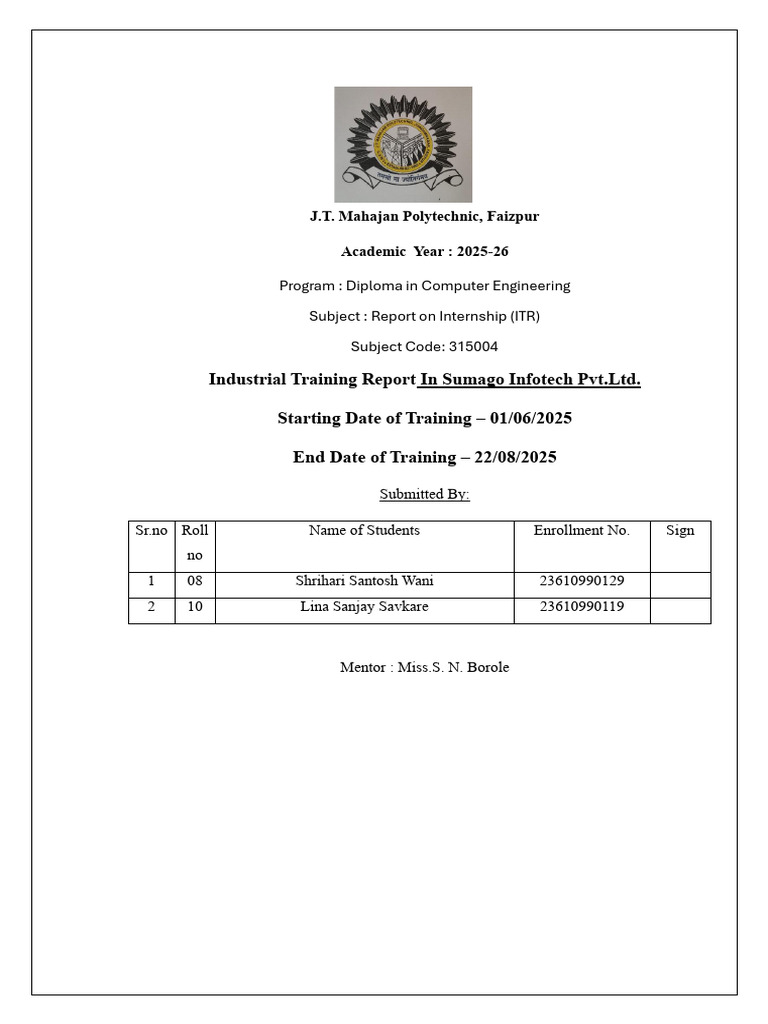 Internship Report: Computer Engineering 2025 | PDF | Software Testing ...