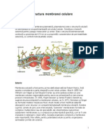 Structura Membranei Celulare