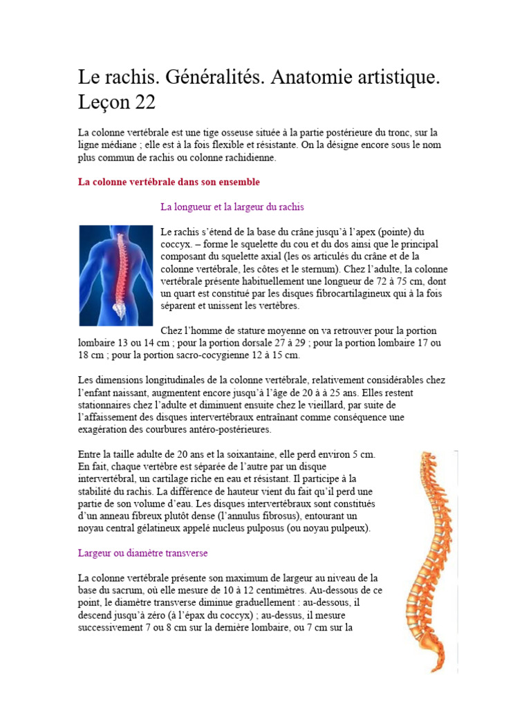 Anatomie du rachis et apophyse articulaire | PDF | Vertèbre | Appareil ...