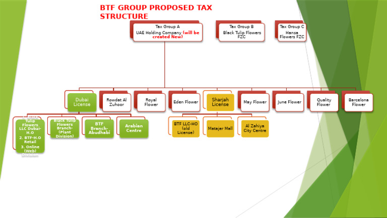 Tax Group Structure Circulated | PDF